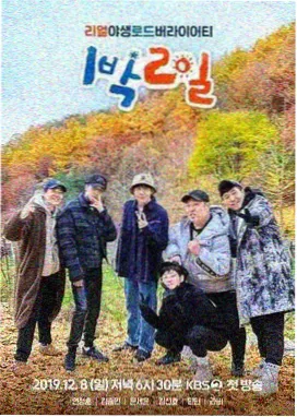 原声搜索趋势数据报告配图